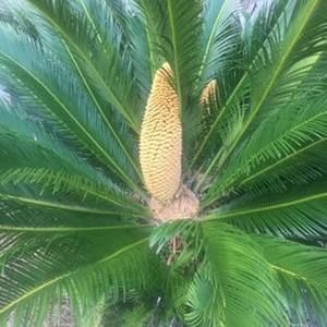 Meet your Posher, Lydia